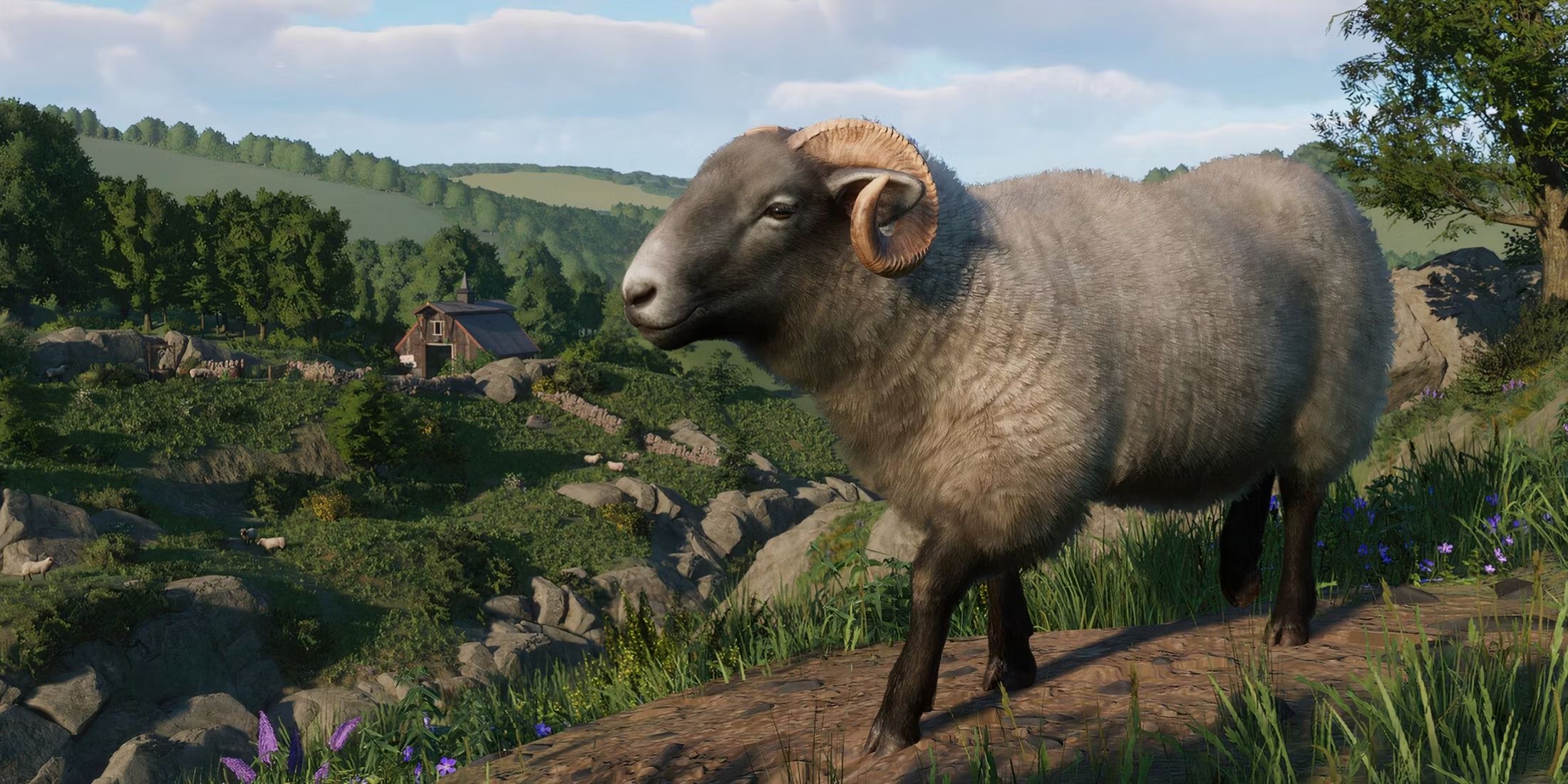 planet-zoo-barnyard-animal-pack-dlc-hill-radnor-sheep-1.jpg