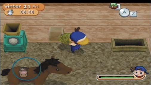 Harvest Moon: Magical Melody | TheGamer