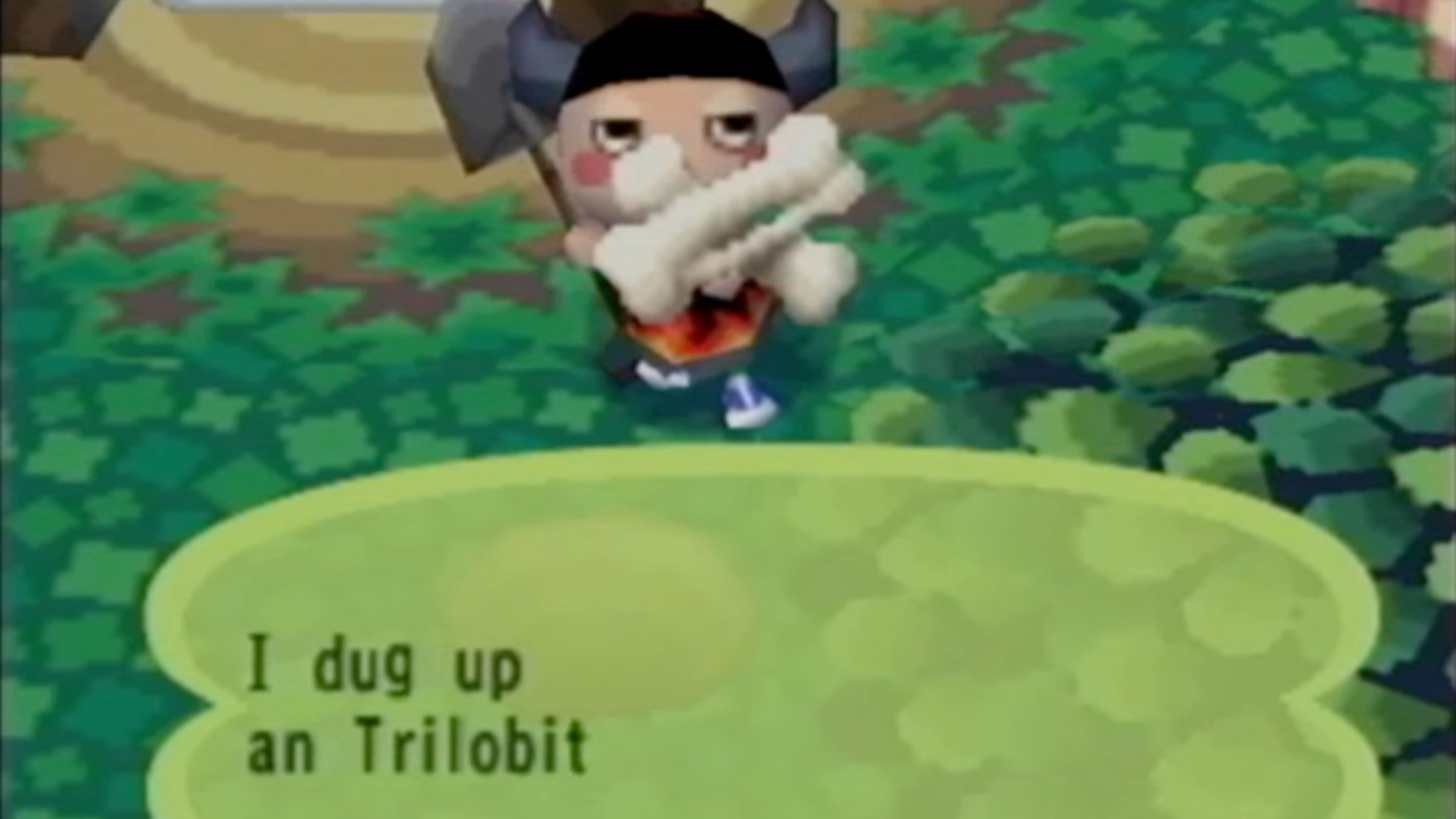 animal-crossing-in-game-screenshot-4.jpg