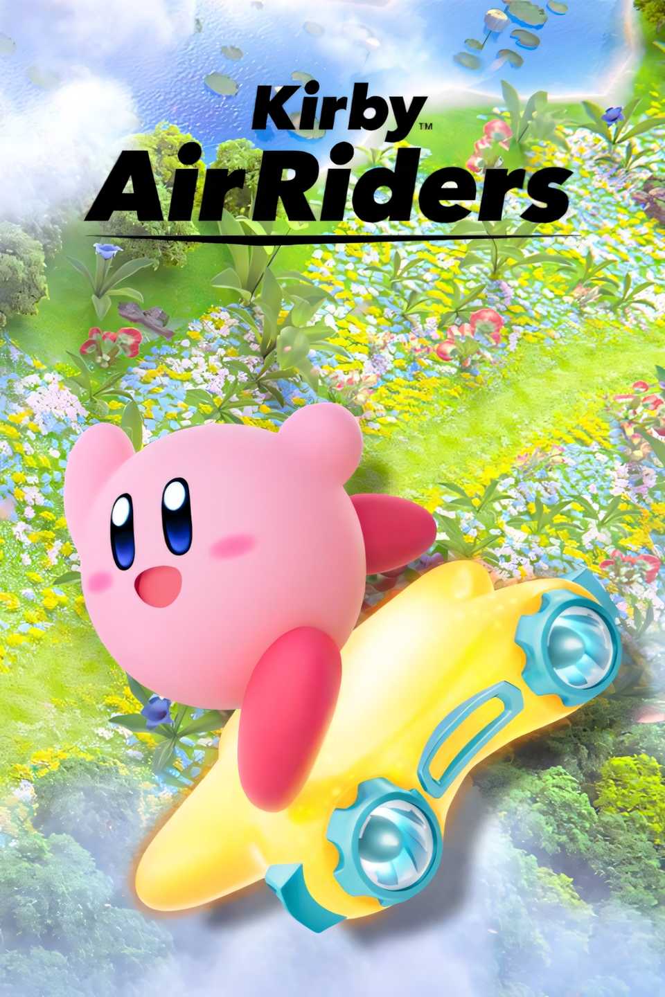 Kirby-Air-Riders-Tag-Page-curer-art.jpg