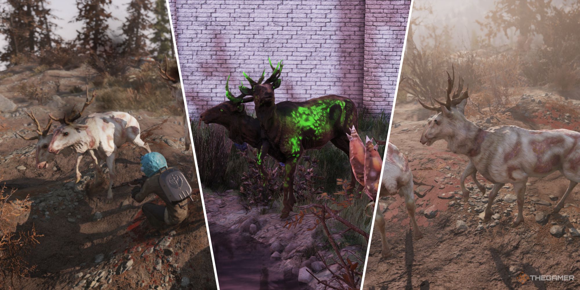 Split image of different radstag in Fallout 76