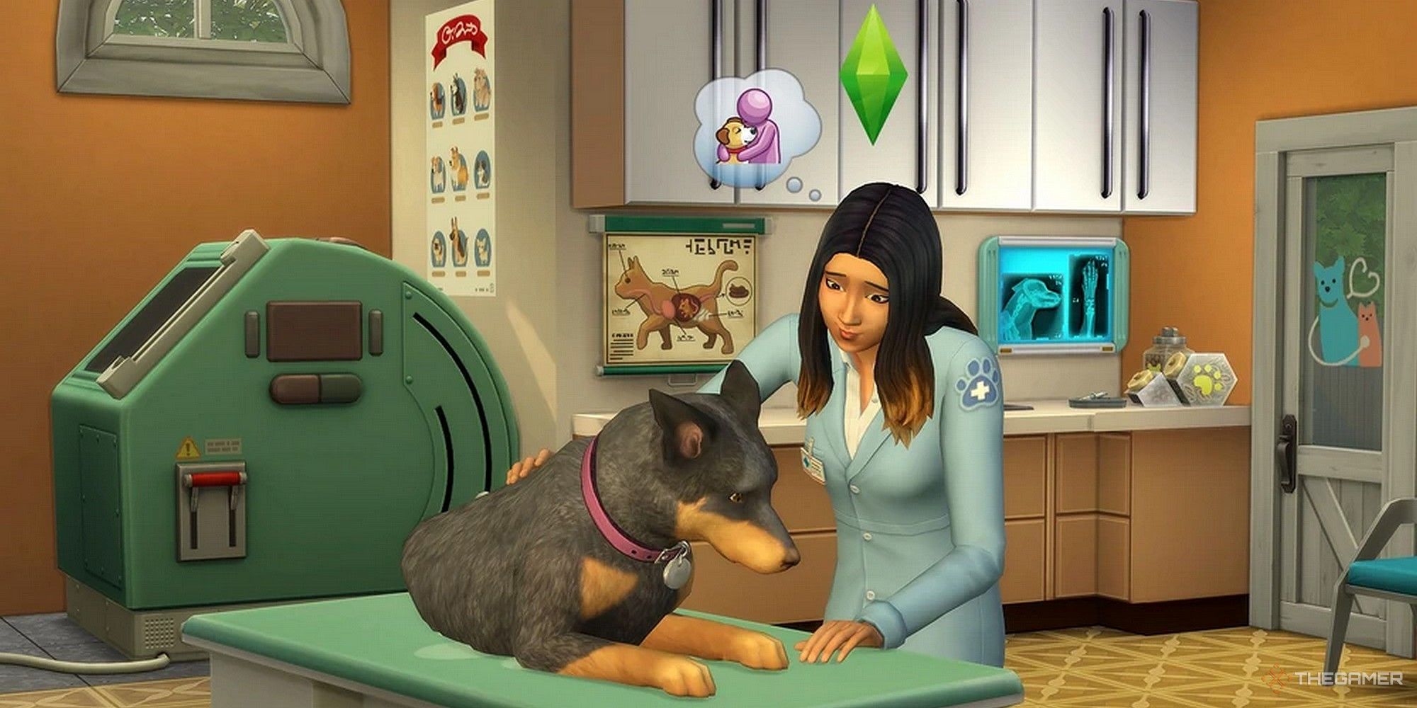 a vet sim checking on a dog at her practice in the sims 4 cats and dogs how to run a successful veteranarian clinic