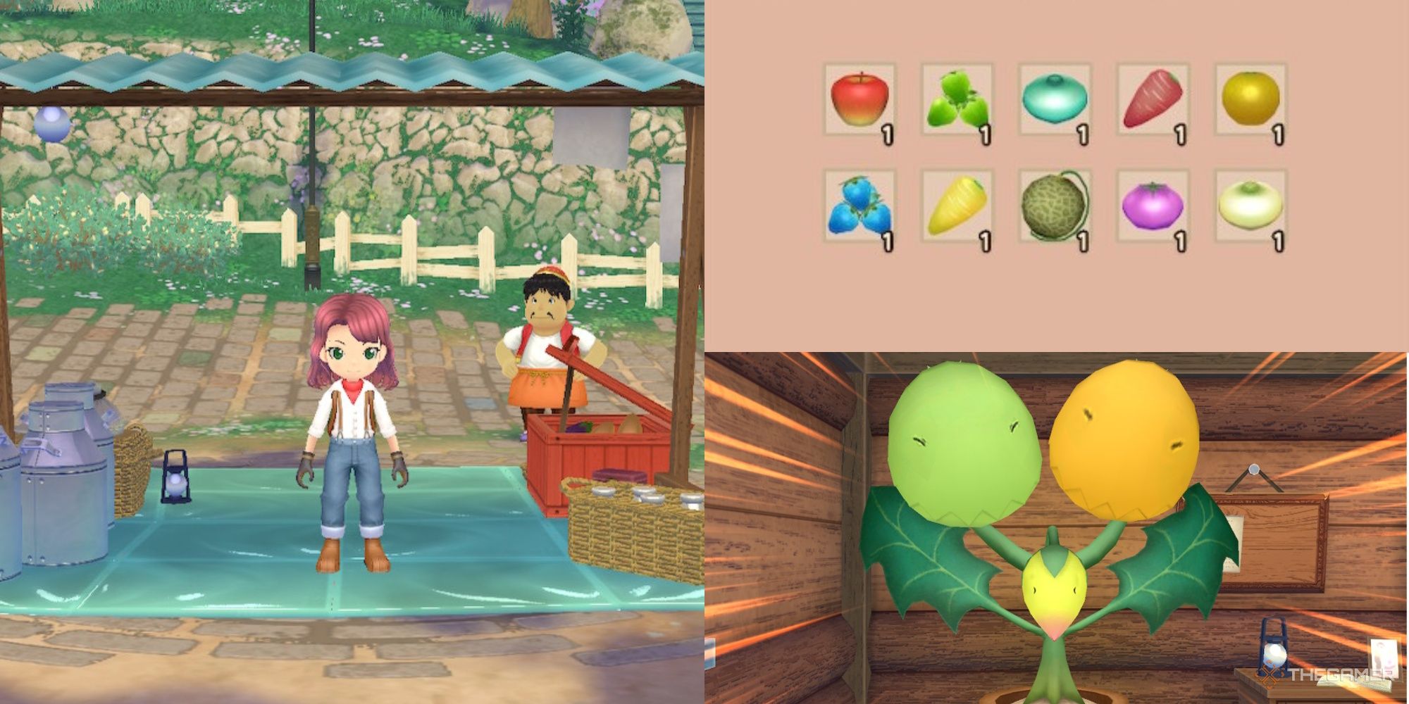 All Crops And What They Sell For In Story Of Seasons A Wonderful Life