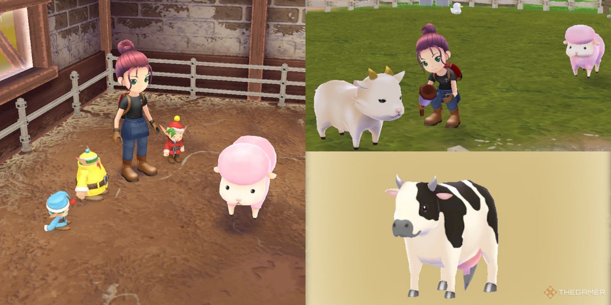 Animal Guide For Story Of Seasons: A Wonderful Life