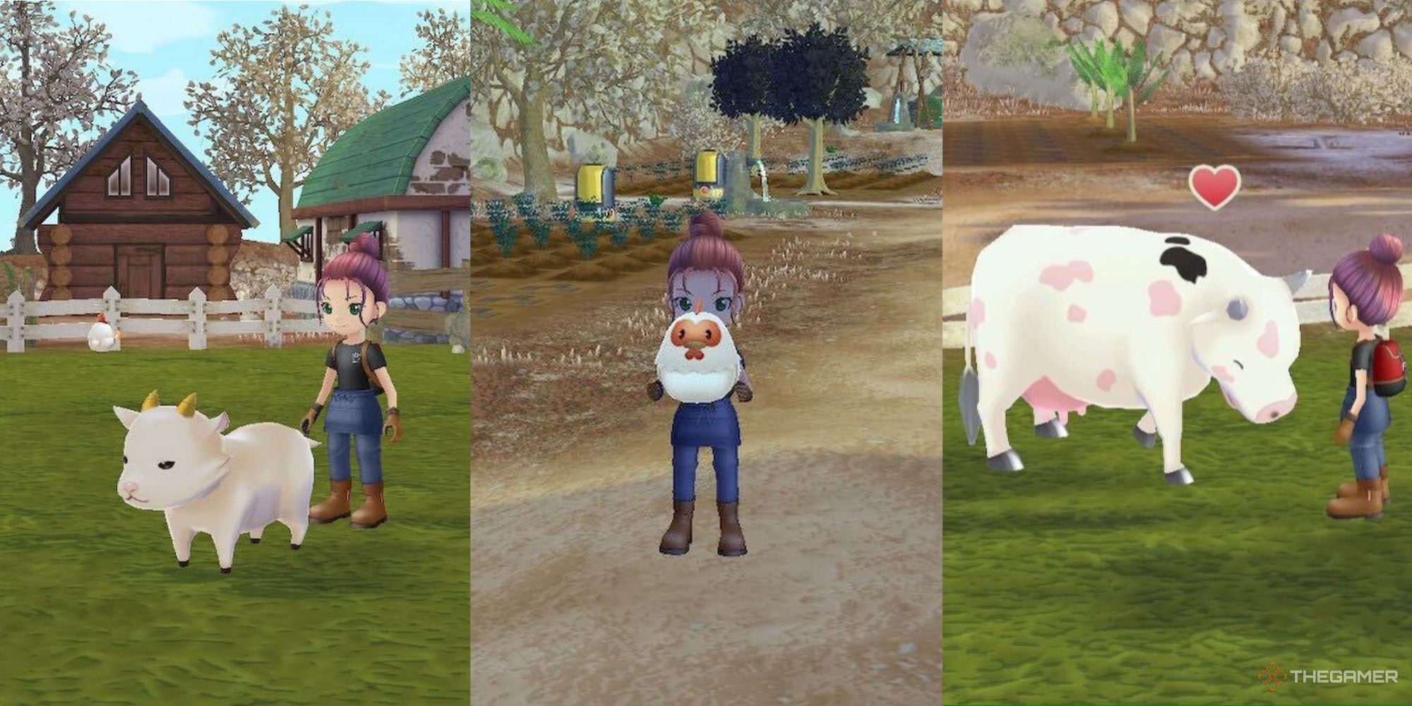 The Best Livestock And Animals In Story Of Seasons A Wonderful Life