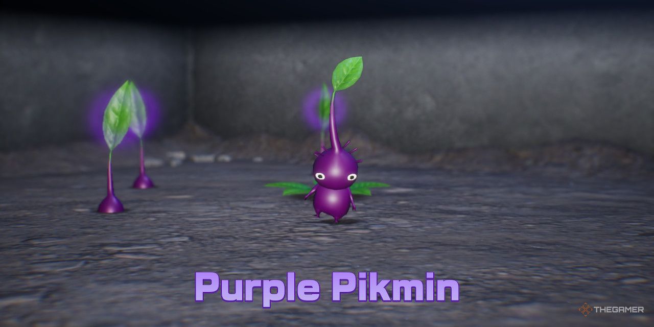 Purple Pikmin from Pikmin 4