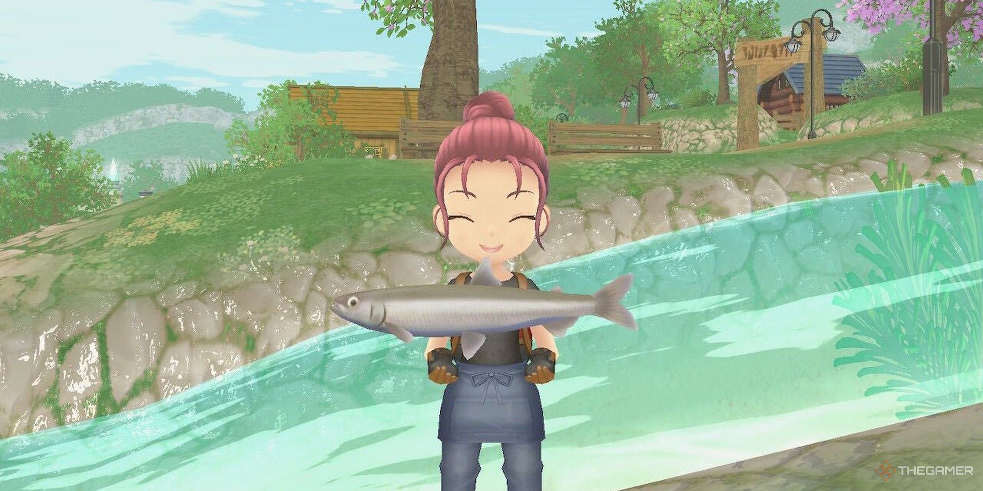 How To Get A Fishing Rod In Story Of Seasons: A Wonderful Life