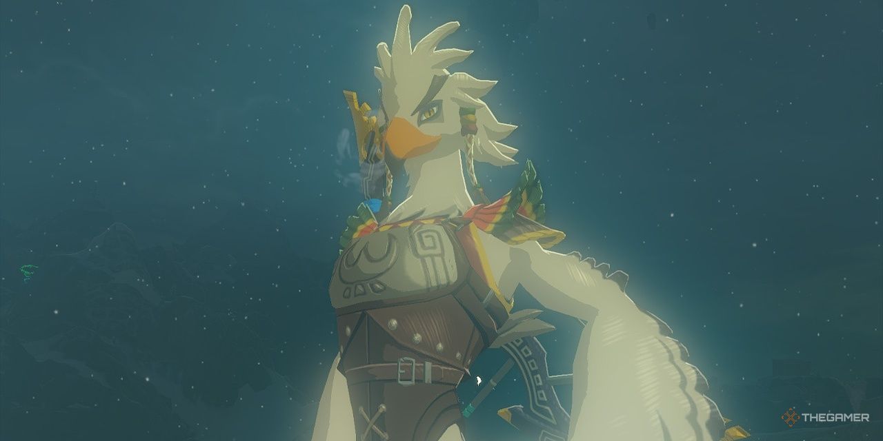 Best Dressed Characters In The Legend of Zelda: Tears Of The Kingdom