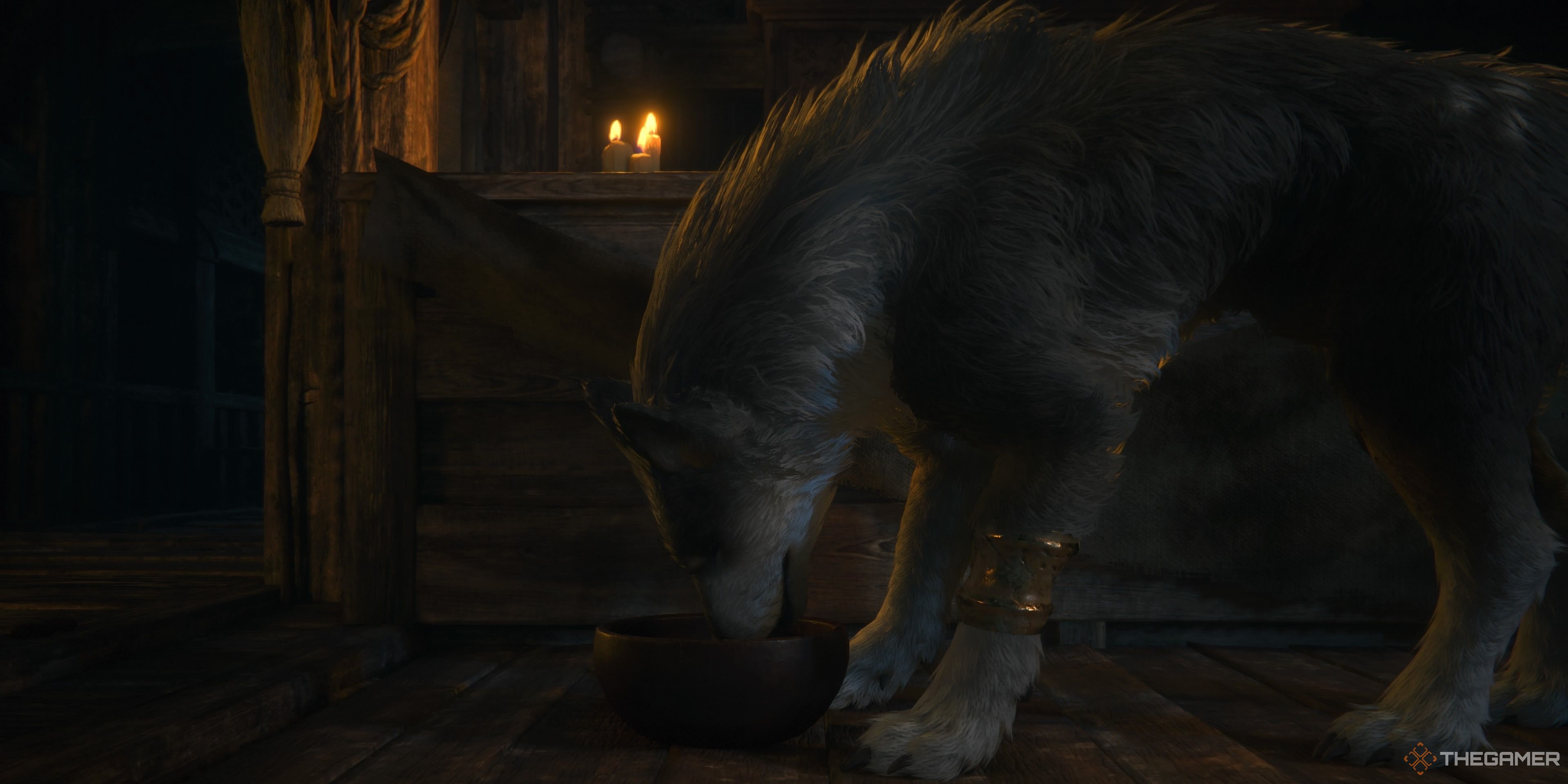 Torgel eats from his food bowl in Final Fantasy 16