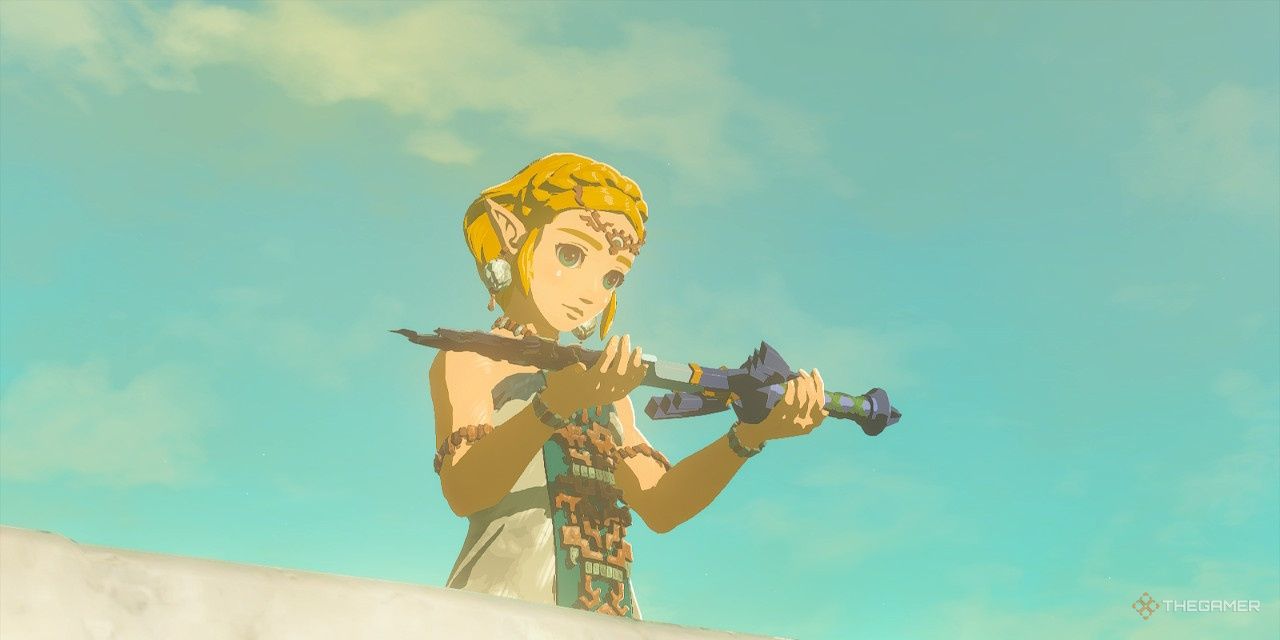 Link's Shorter Underwear [The Legend of Zelda: Breath of the Wild