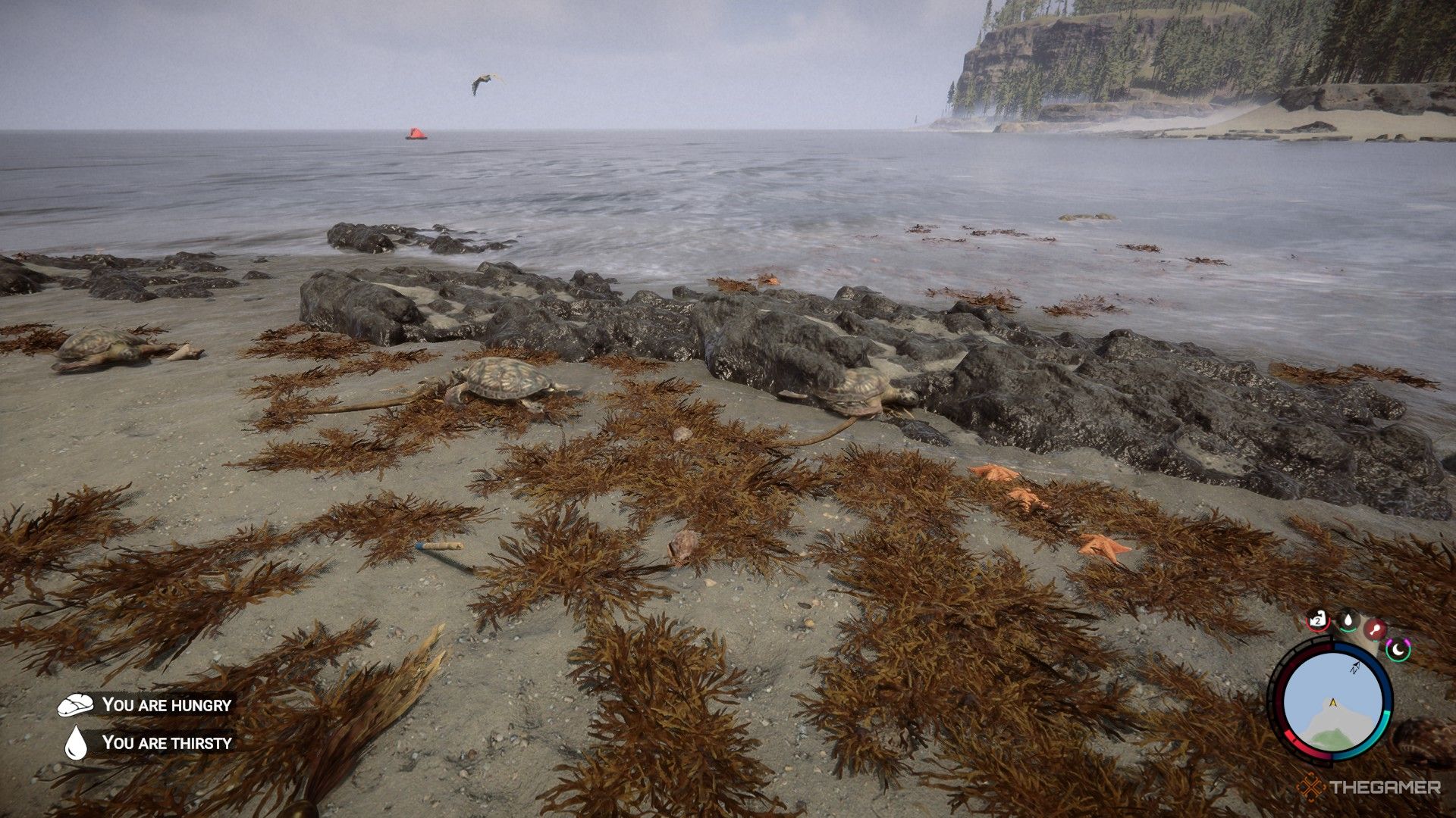 A screenshot from Sons of the Fores showing turtles scattered in the water and on the beach.