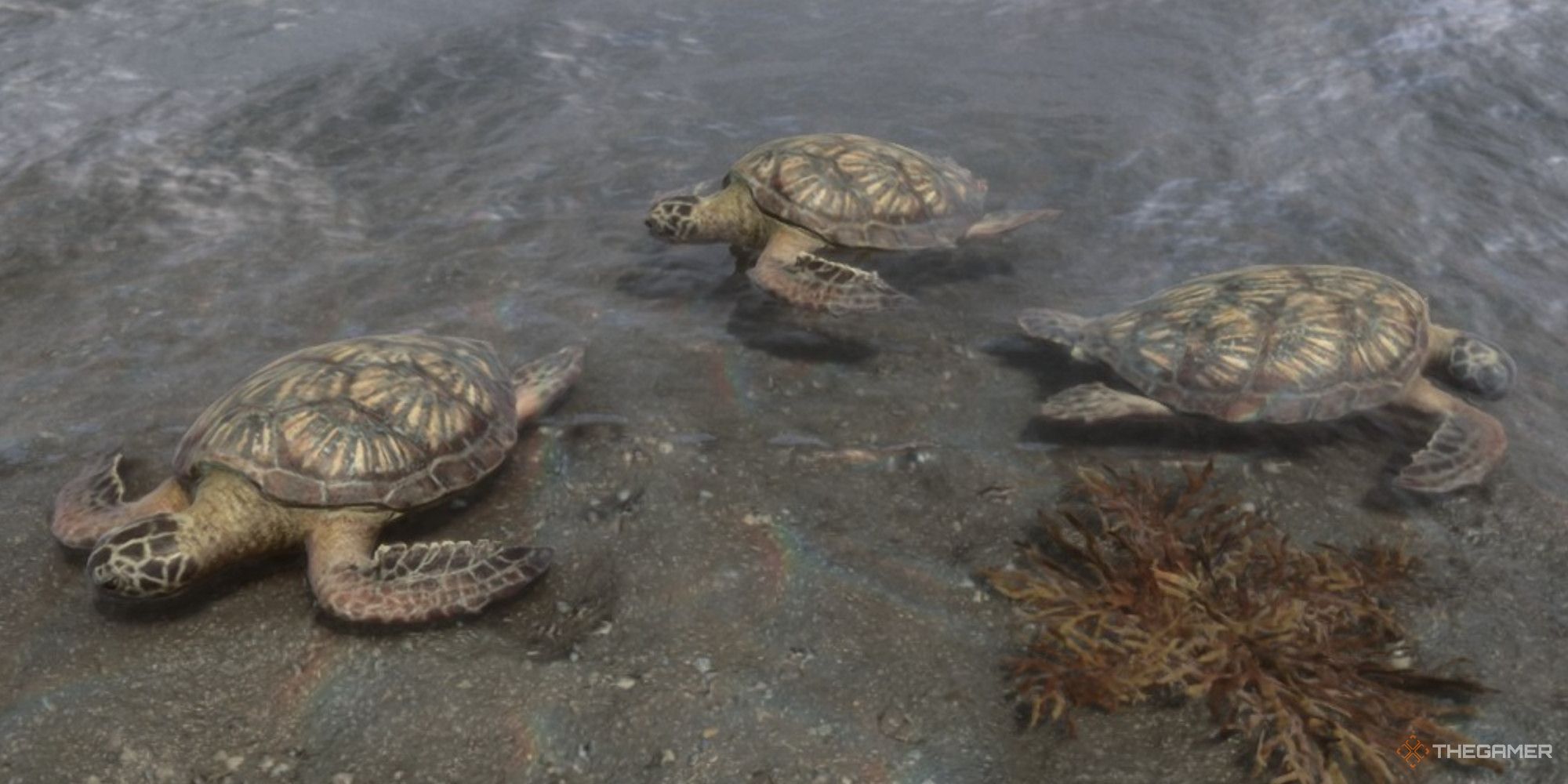 A screenshot from Sons of the Forest showing a grouping of three turtles in the shallow parts of the water on a beach.