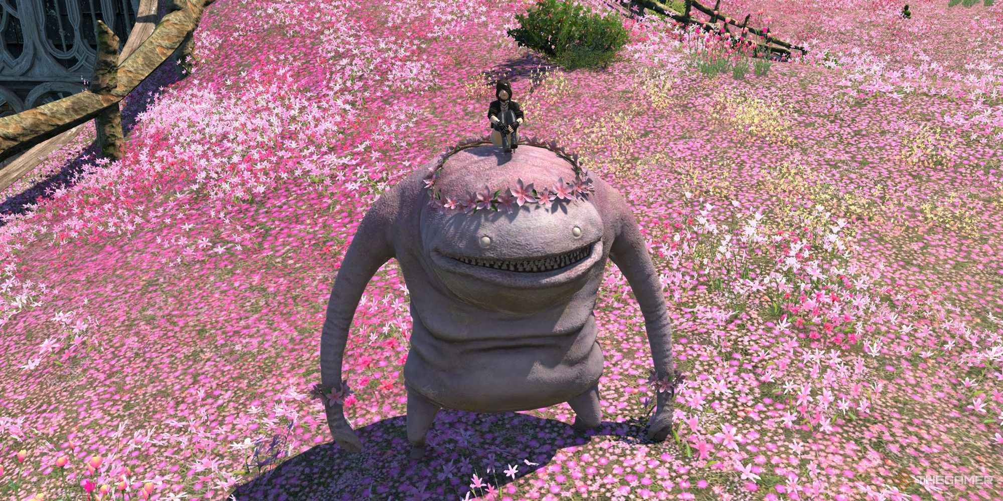A player atop the Peatie mount in Final Fantasy 14.