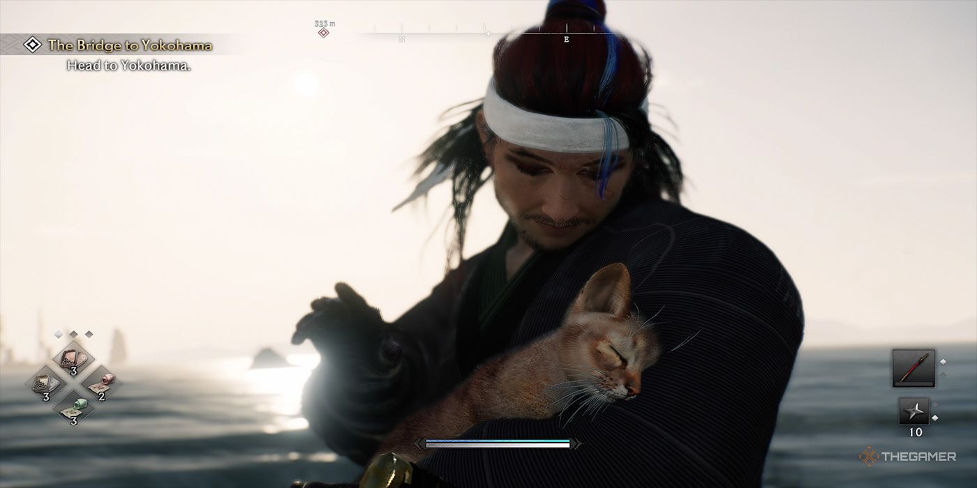 The protagonist pets an orange Tabby cat near the ocean in Rise Of The Ronin.