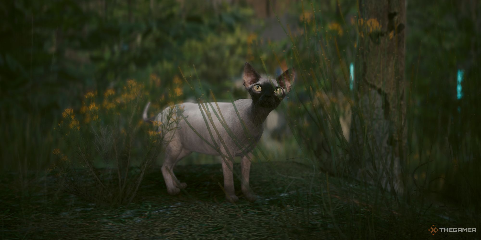 V's cat, Nibbles, exploring outside in Cyberpunk 2077