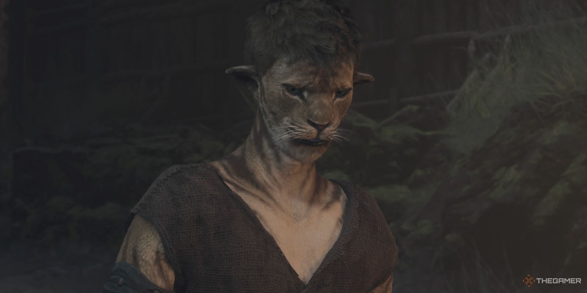 George's character in Dragon's Dogma 2.