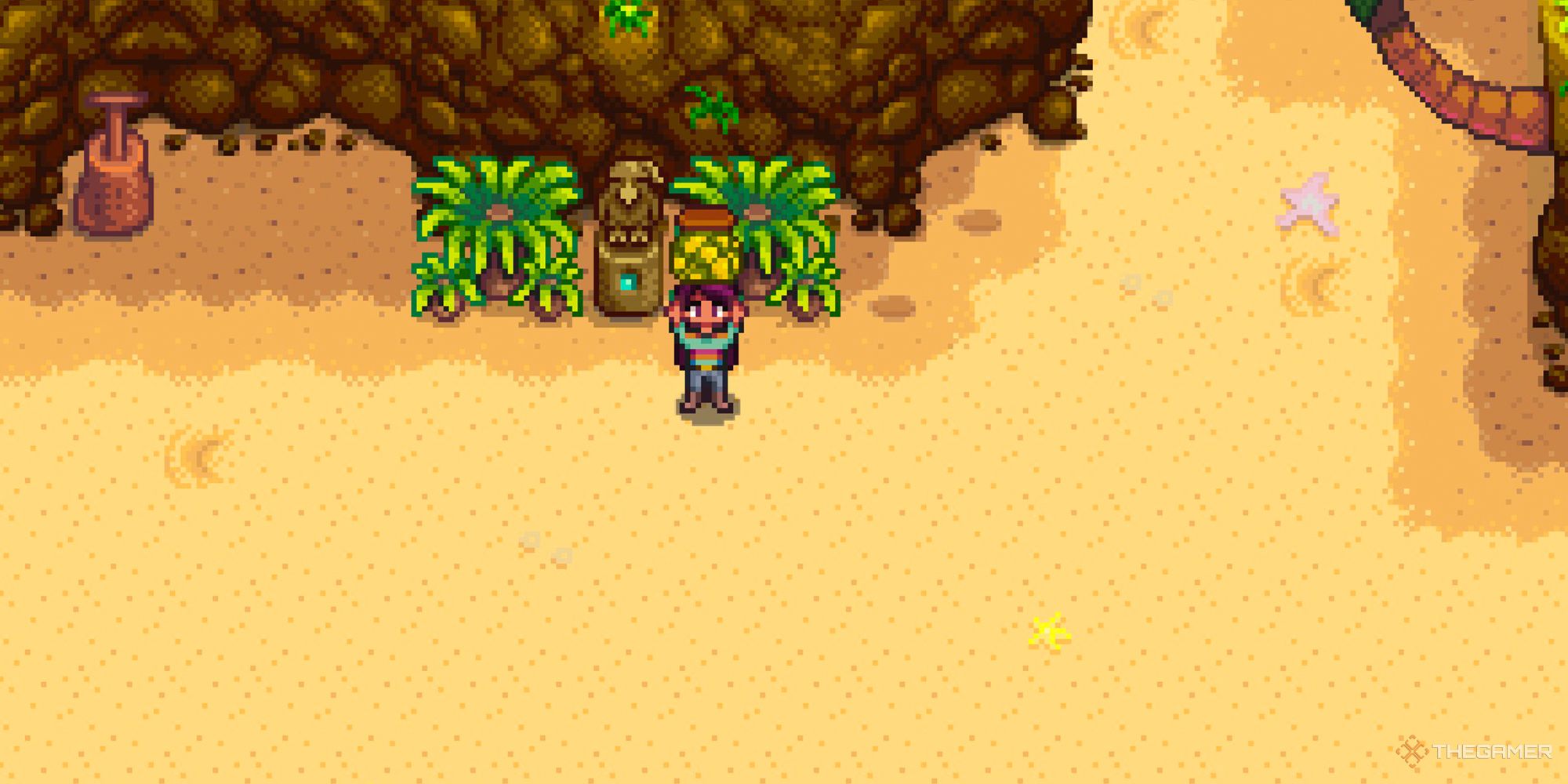 کشاورز Stardew Valley که آناناس خشک را نگه داشته است.