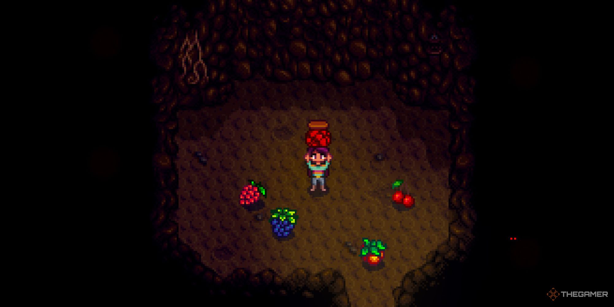 Stardew Valley Farmer که دارای ریواس خشک است.