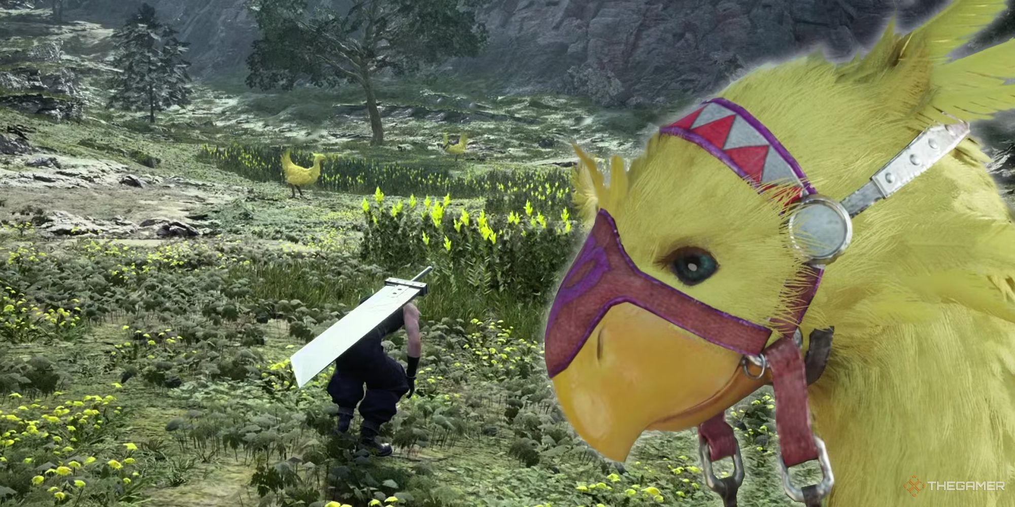 Final Fantasy 7 Rebirth Chocobo overlay on Cloud in a field