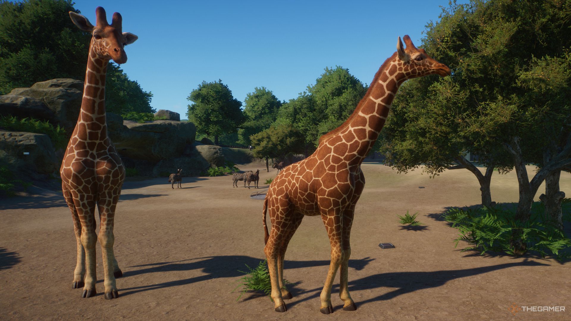 Planet Zoo console giraffes grazing side by side-1