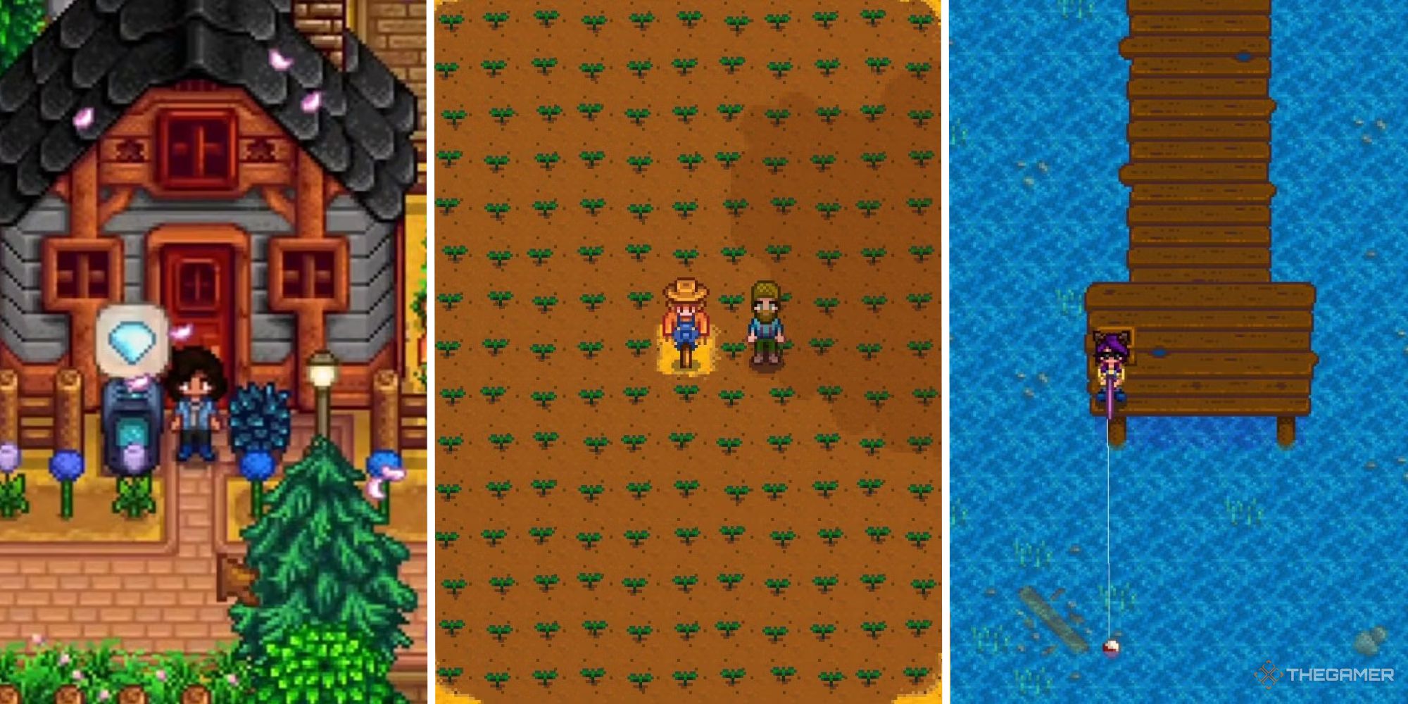 stardew split image of player outside shed, next to image of player in crop area and player fishing