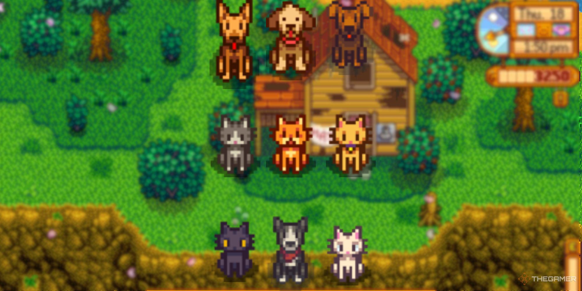 The Best Pets In Stardew Valley