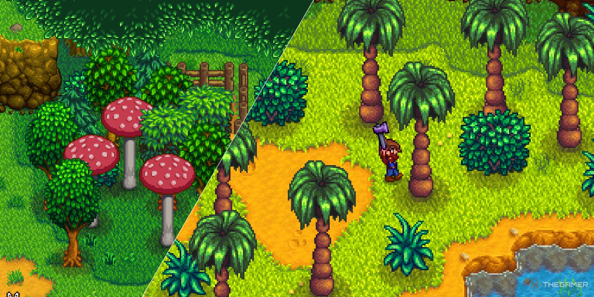 A split image of forested areas and Ginger Island in Stardew Valley