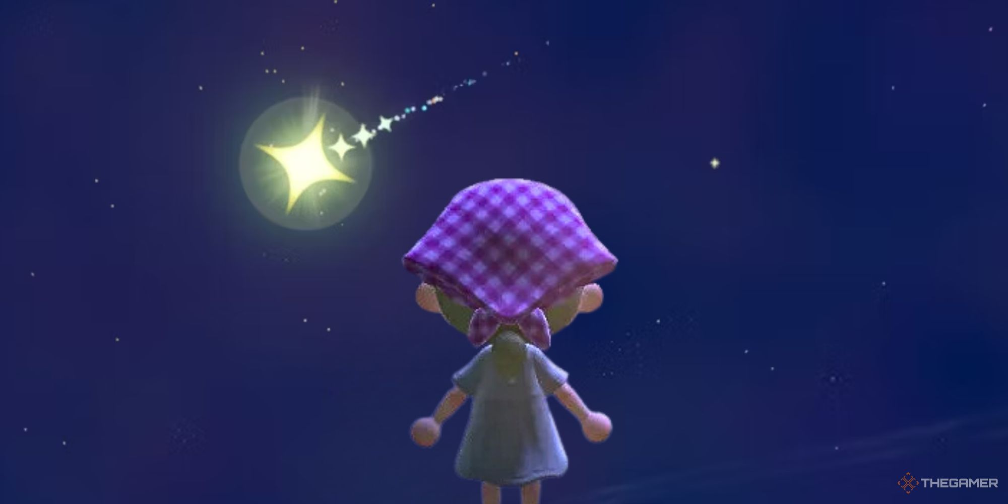 Character looking at a shooting star at night in Animal Crossing: New Horizons.