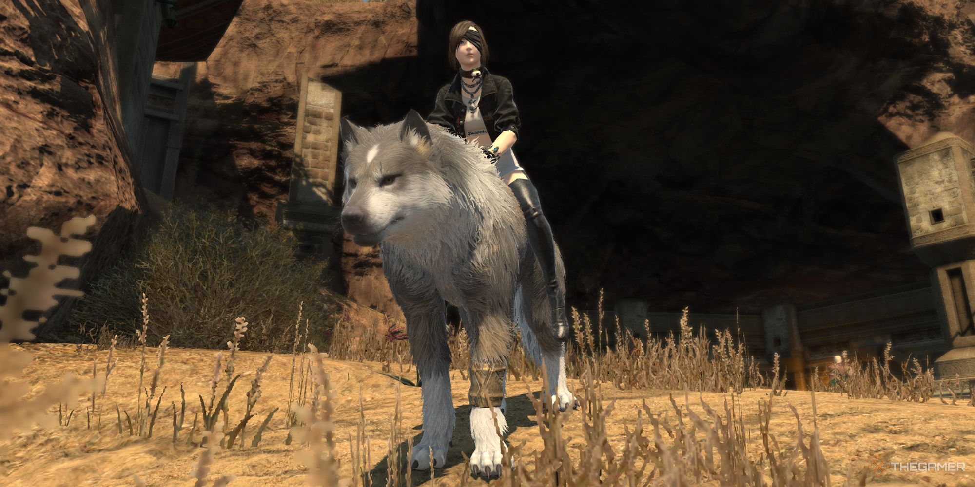 A Final Fantasy 14 player on the Torgal mount. 