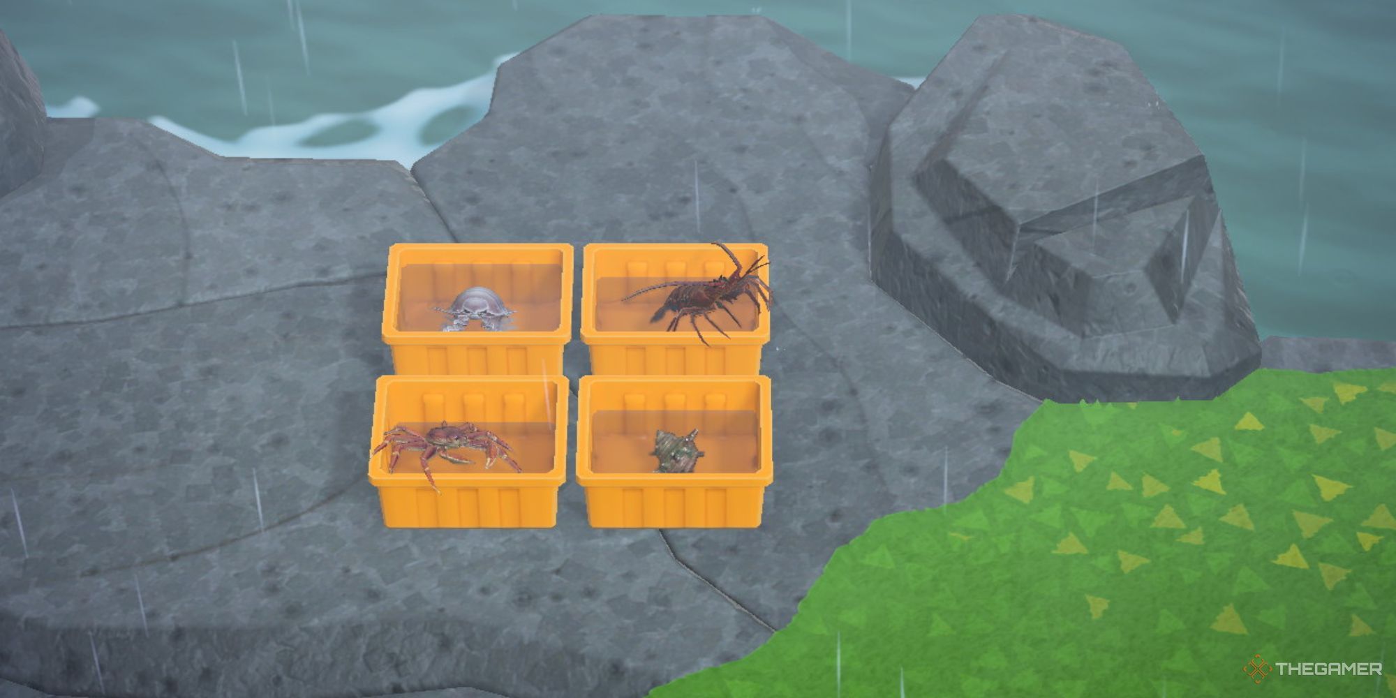 Best Bugs And Fish To Decorate Your ACNH Island