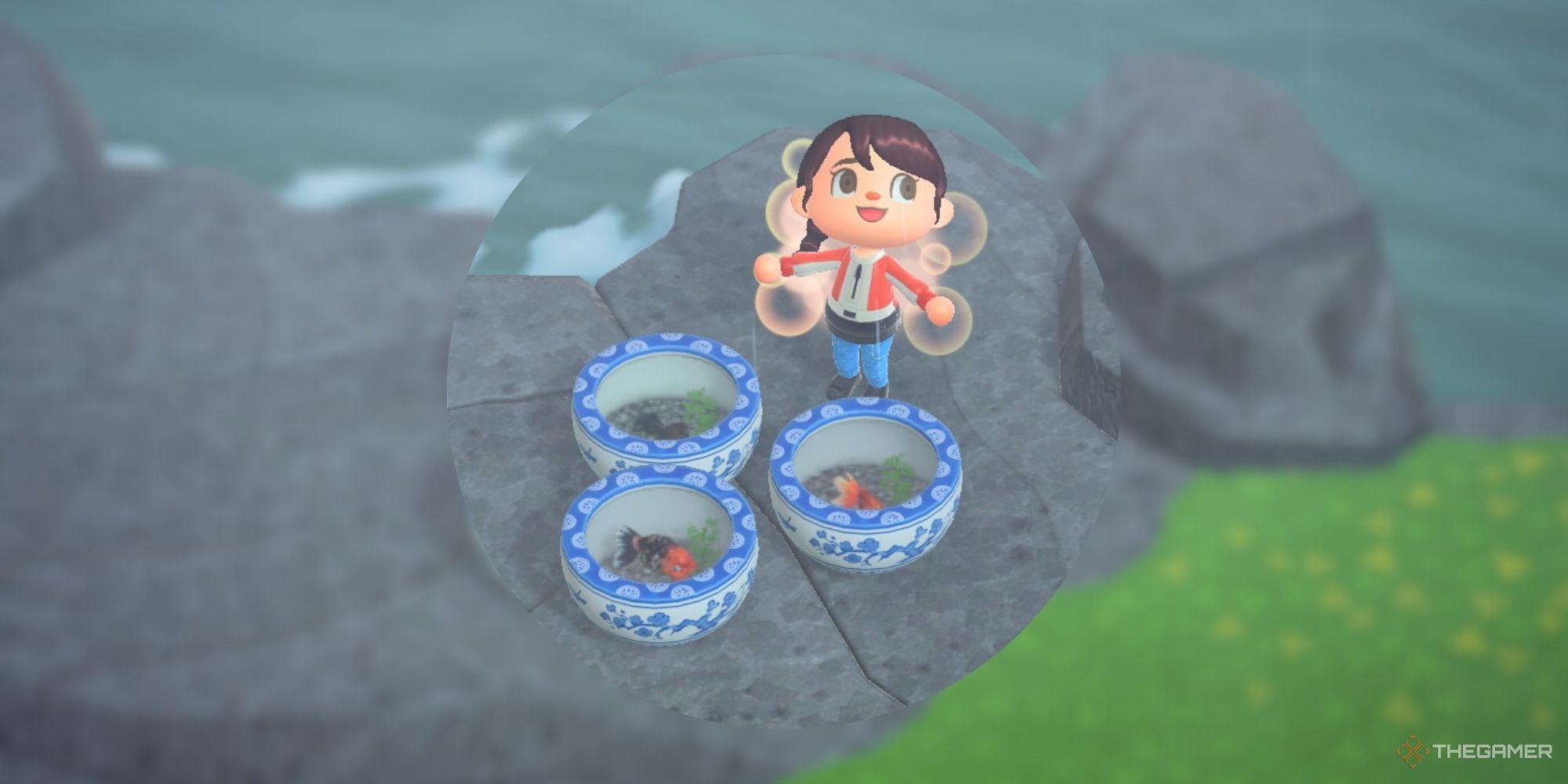 Animal Crossing New Horizons Villager Standing With Goldfish, Ranchu Goldfish, and Pop Eyed Goldfish