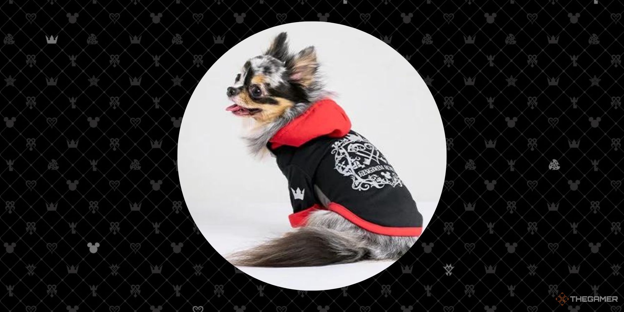 Dog wearing Sora coat on a Kingdom Hearts background