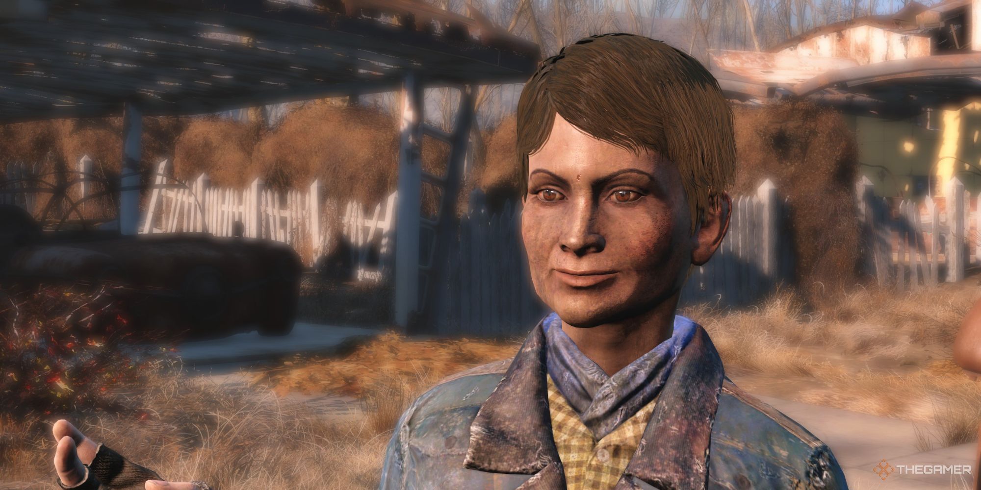 Best Character Mods In Fallout 4