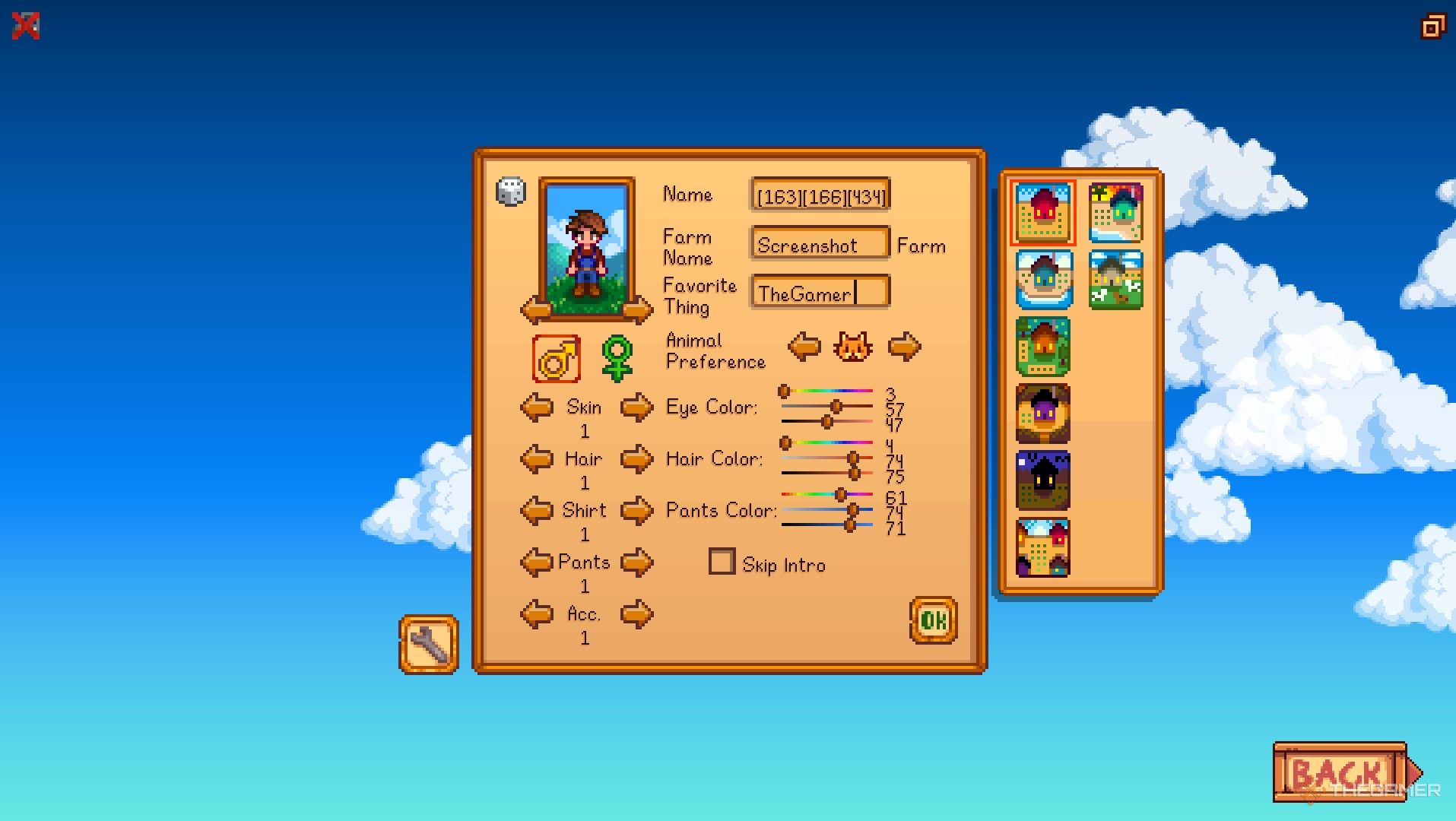 naming a farmer with item codes stardew valley cheats