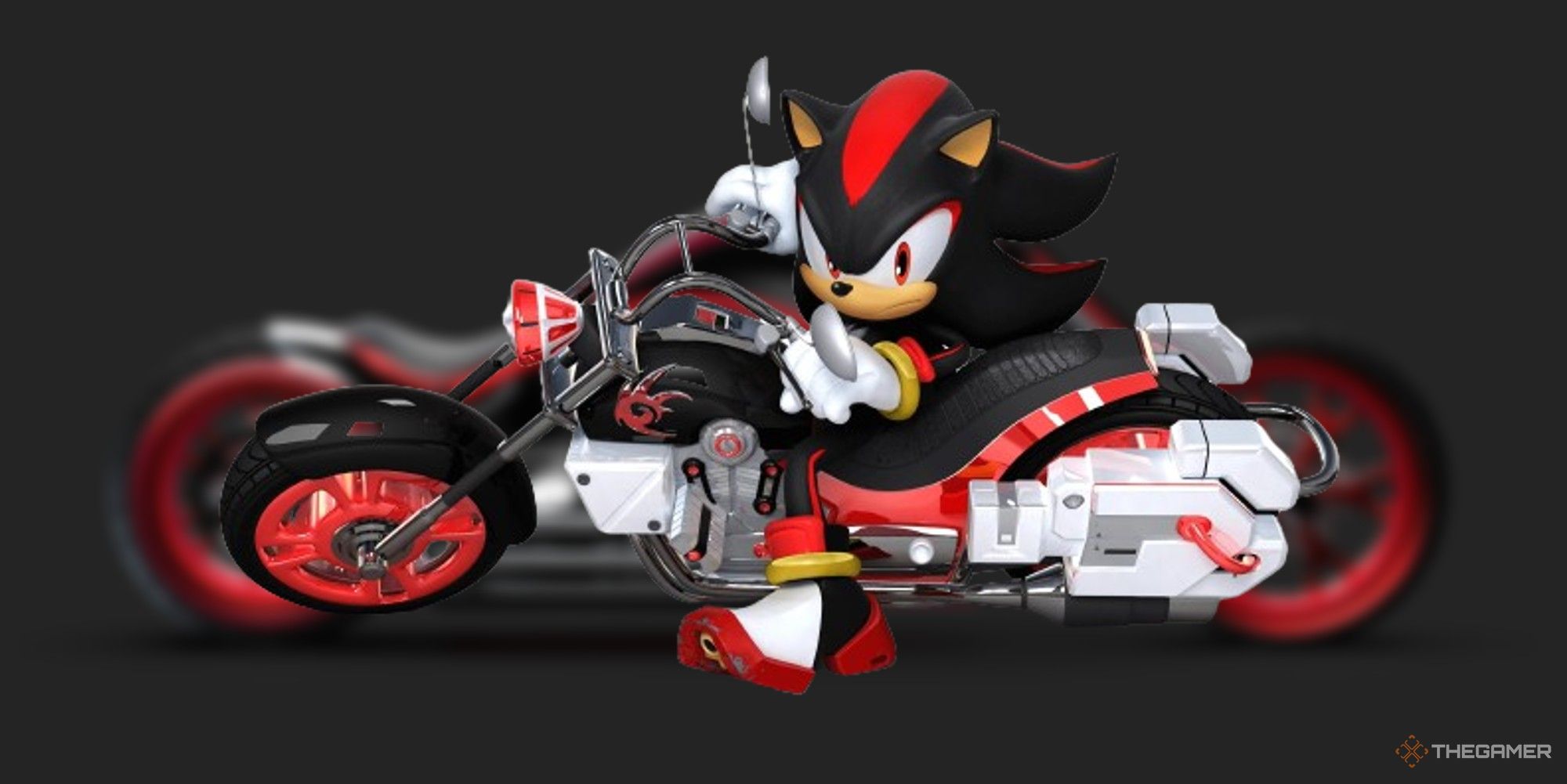shadow the hedgehog on his dark rider motorcycle
