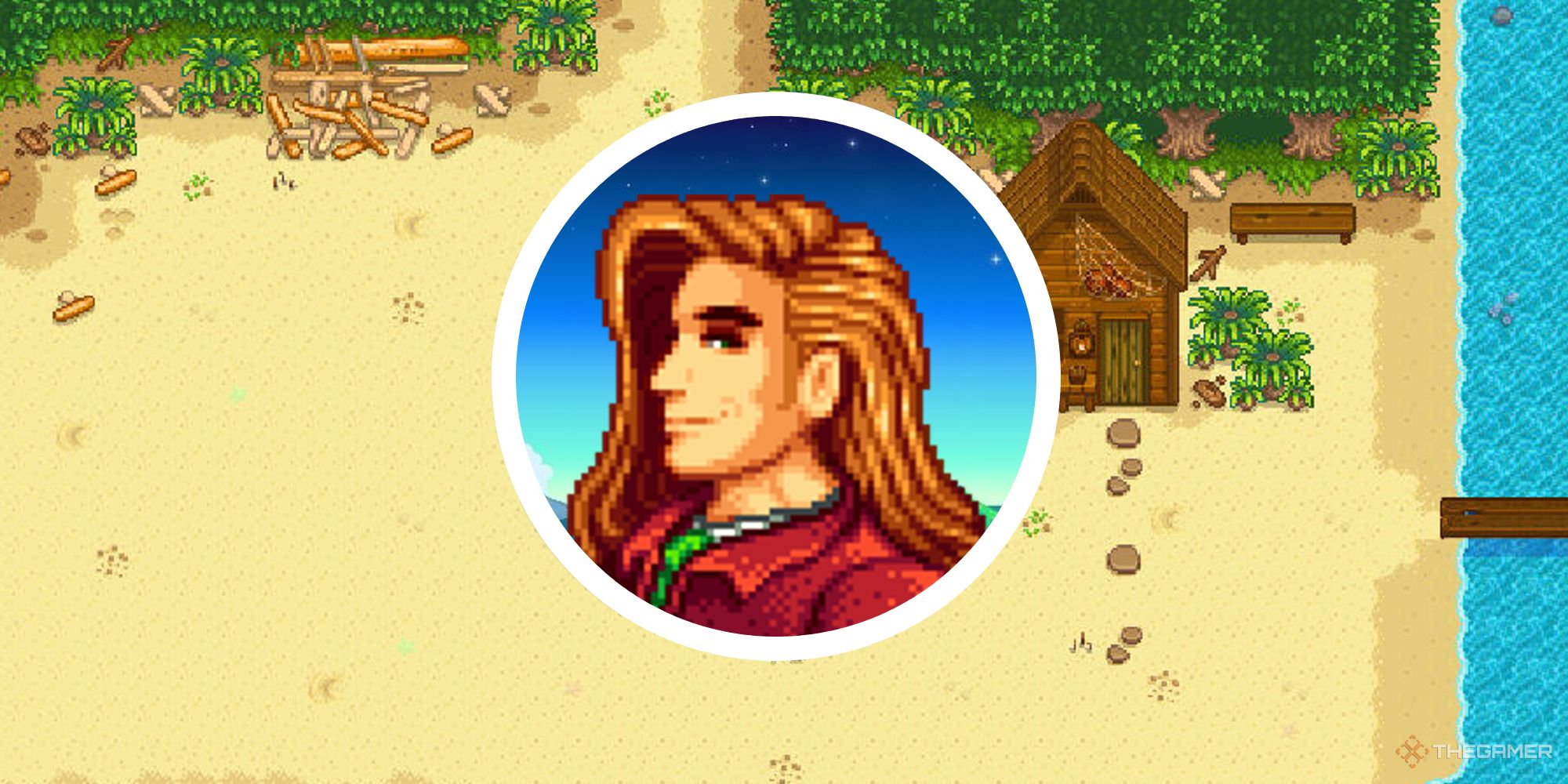 stardew valley circle image of elliot over background of beach area
