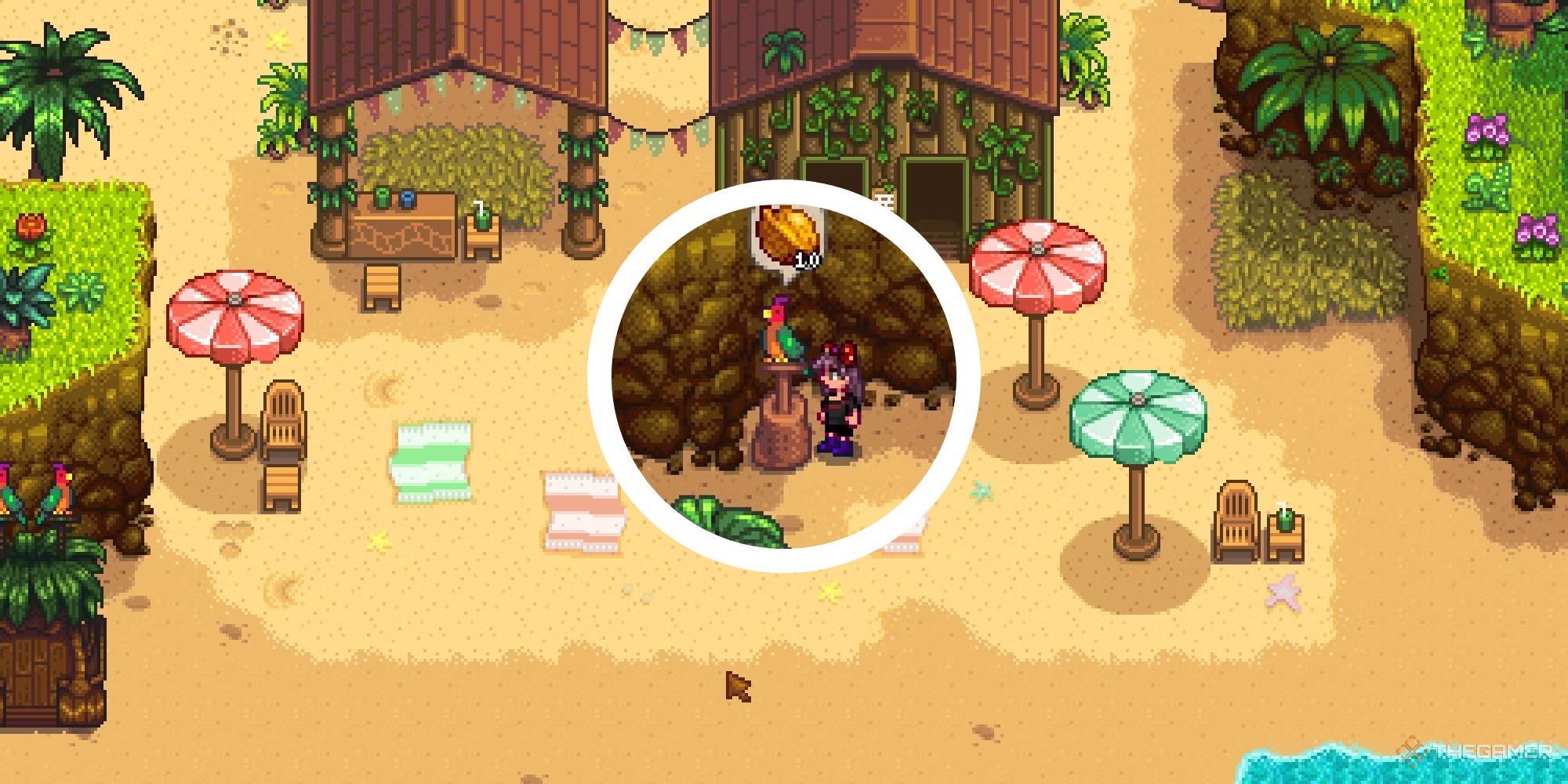 stardew valley ginger island resort in background with circle png of player at joja parrot