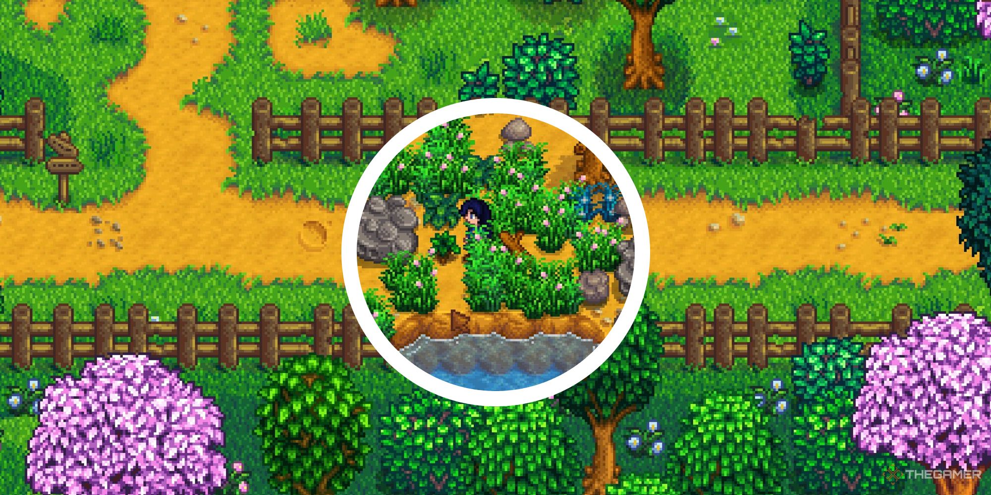 stardew valley image of bus stop area path with circle image of player standing in grass on far-1