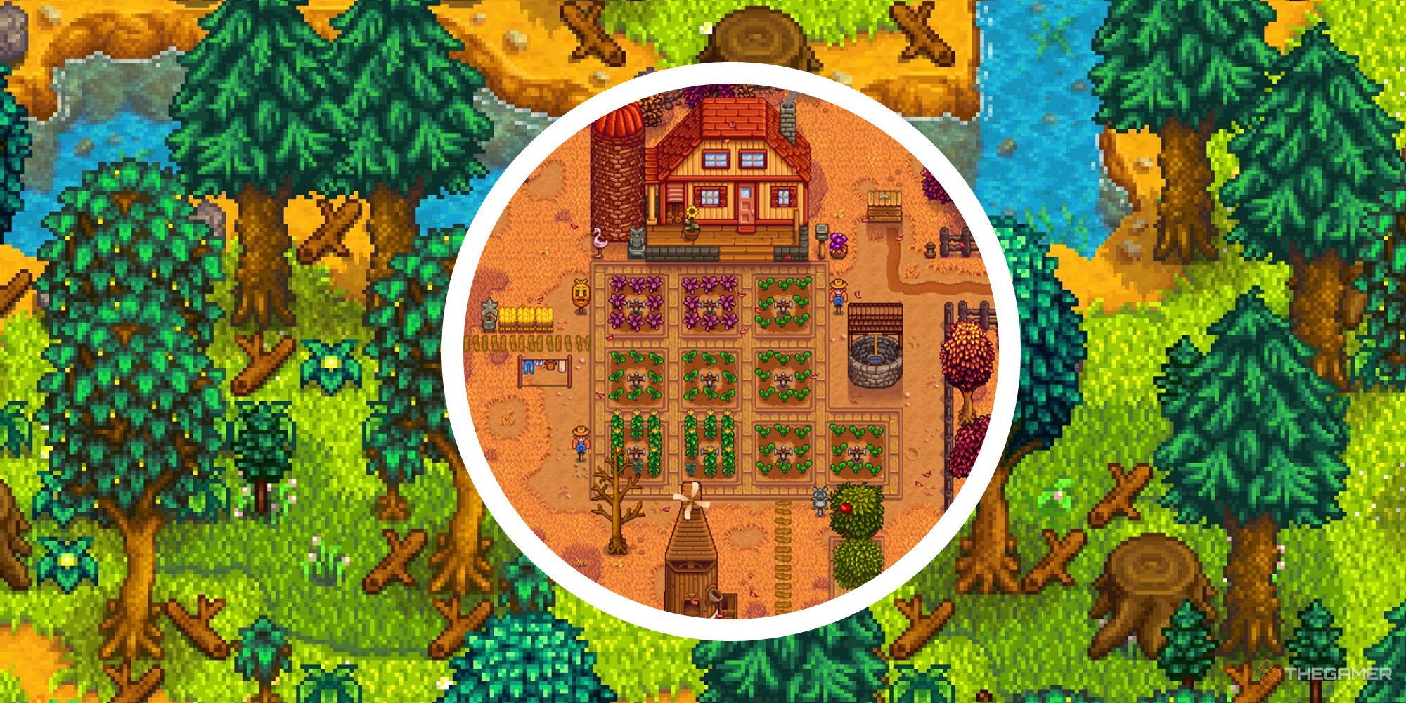 stardew valley image of foresty area of farm with circle of farm during fall with crops