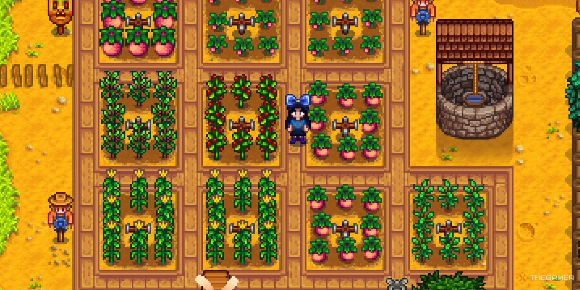 stardew valley player standing in crop area of farm during th summer