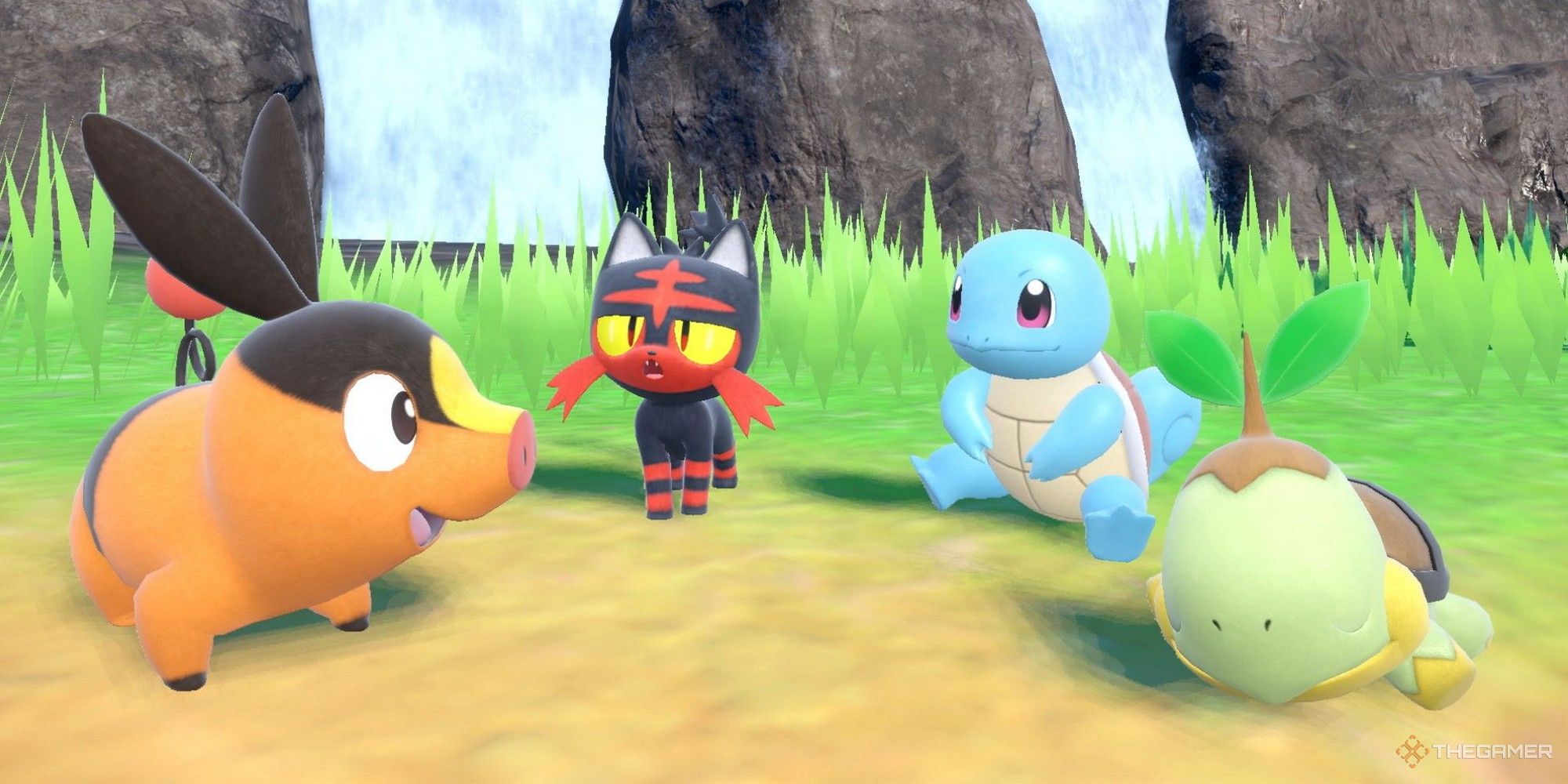 tepig litten squirtle and turwig pokemon scarlet violet