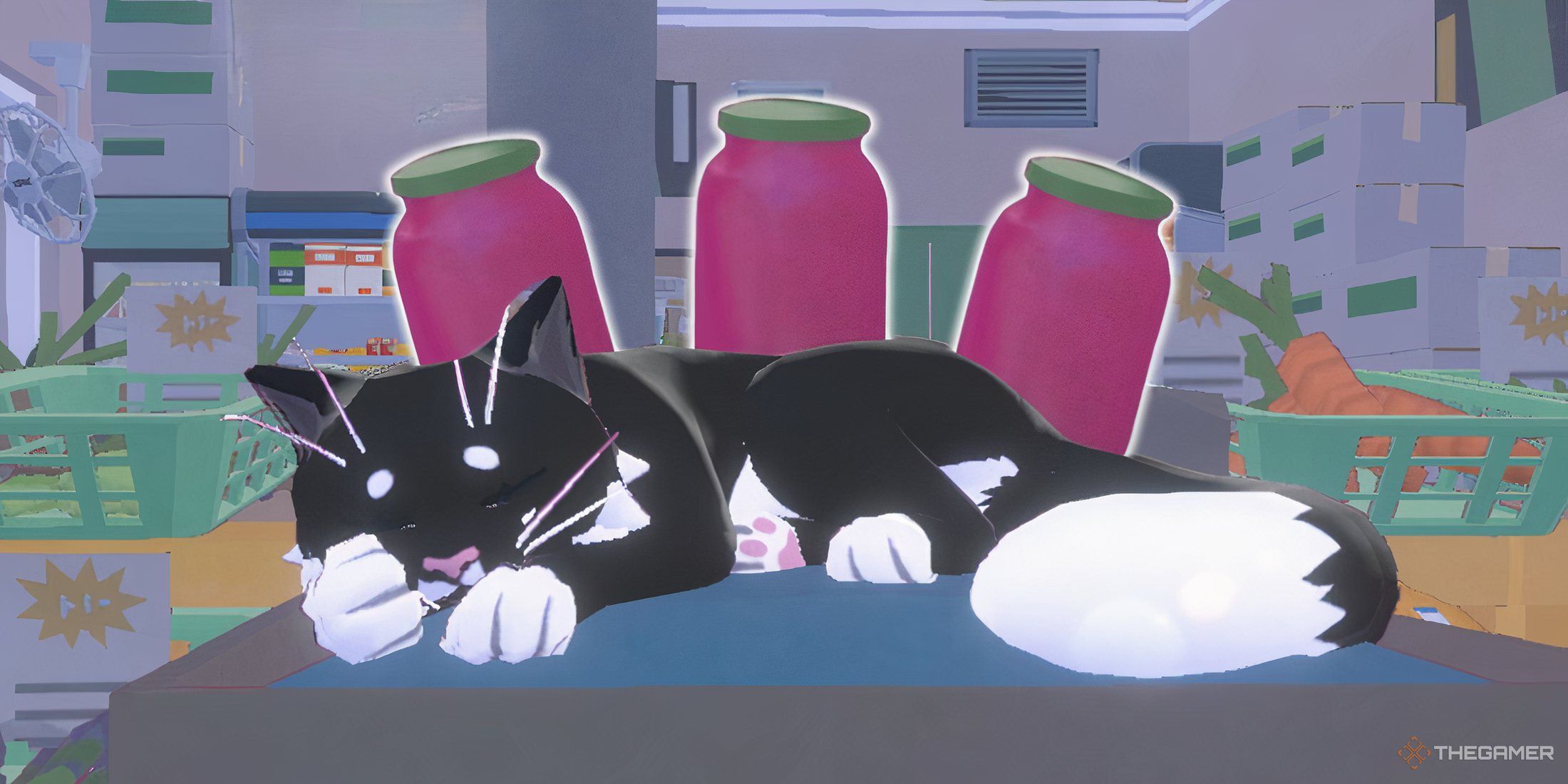 Little Kitty, Big City's mayor sleeping with jam jars. 