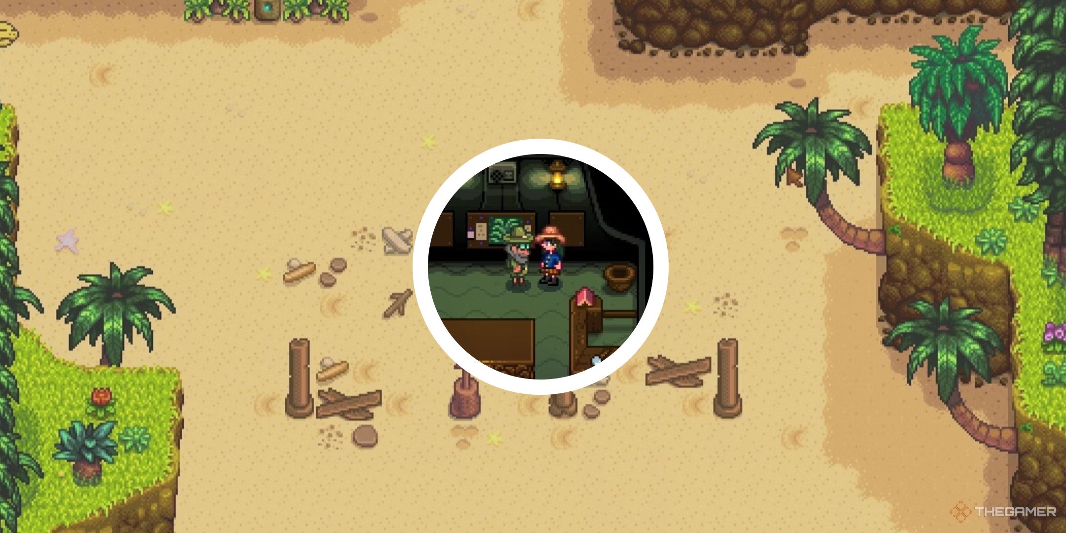 stardew ginger island beach with circle png of professor snail and player talking