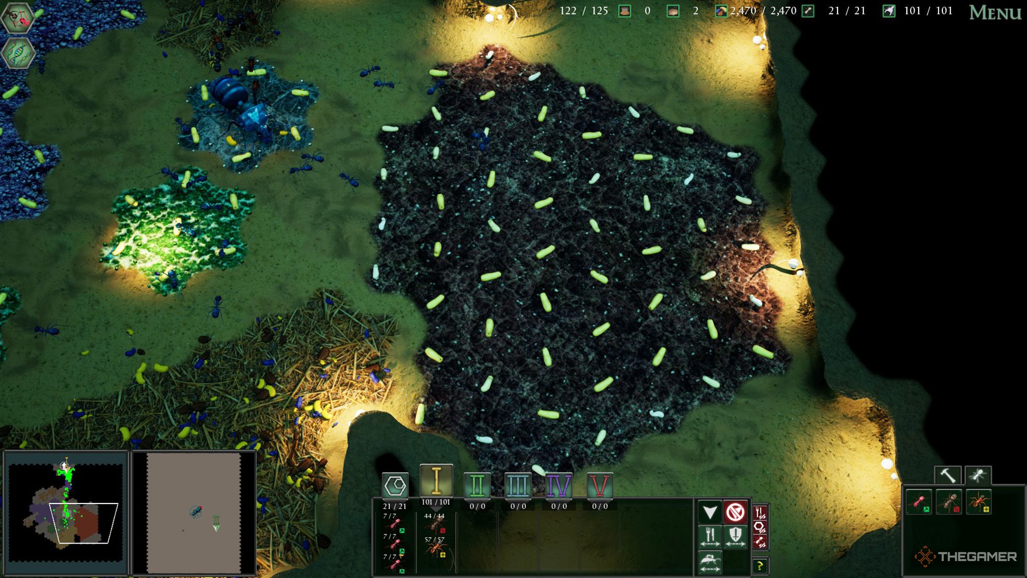 A huge number of brood chambers almost forming a giant hexagon shape in Empires of the Undergrowth
