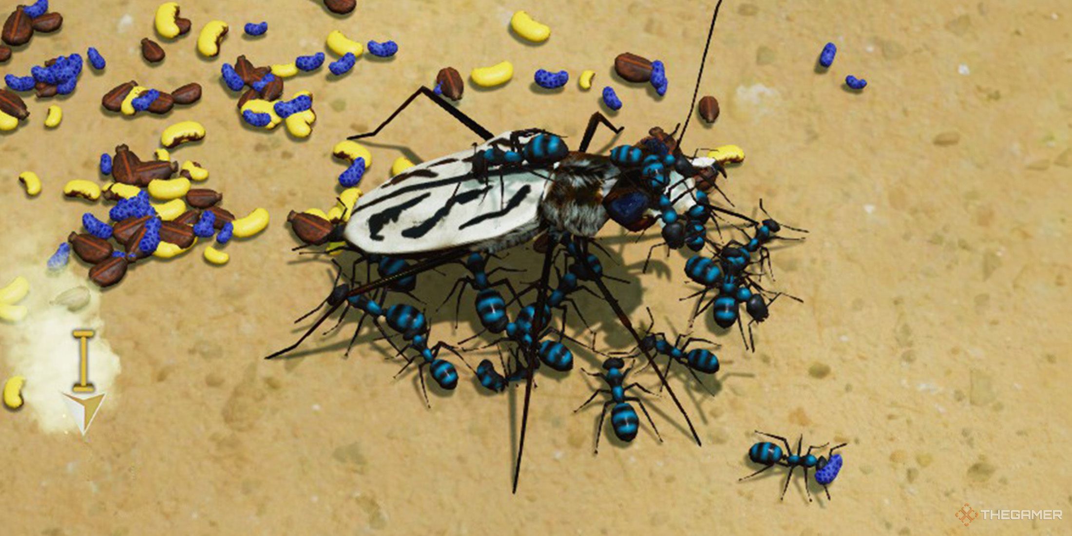 Black Ants are fighting agains White Tiger Beetle in Empires of the Undergrowth