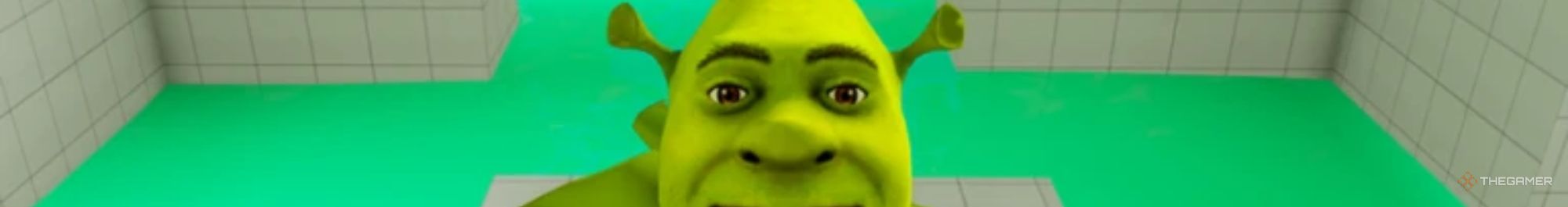 a closeup of the shrektopus in roblox shrek in the backrooms