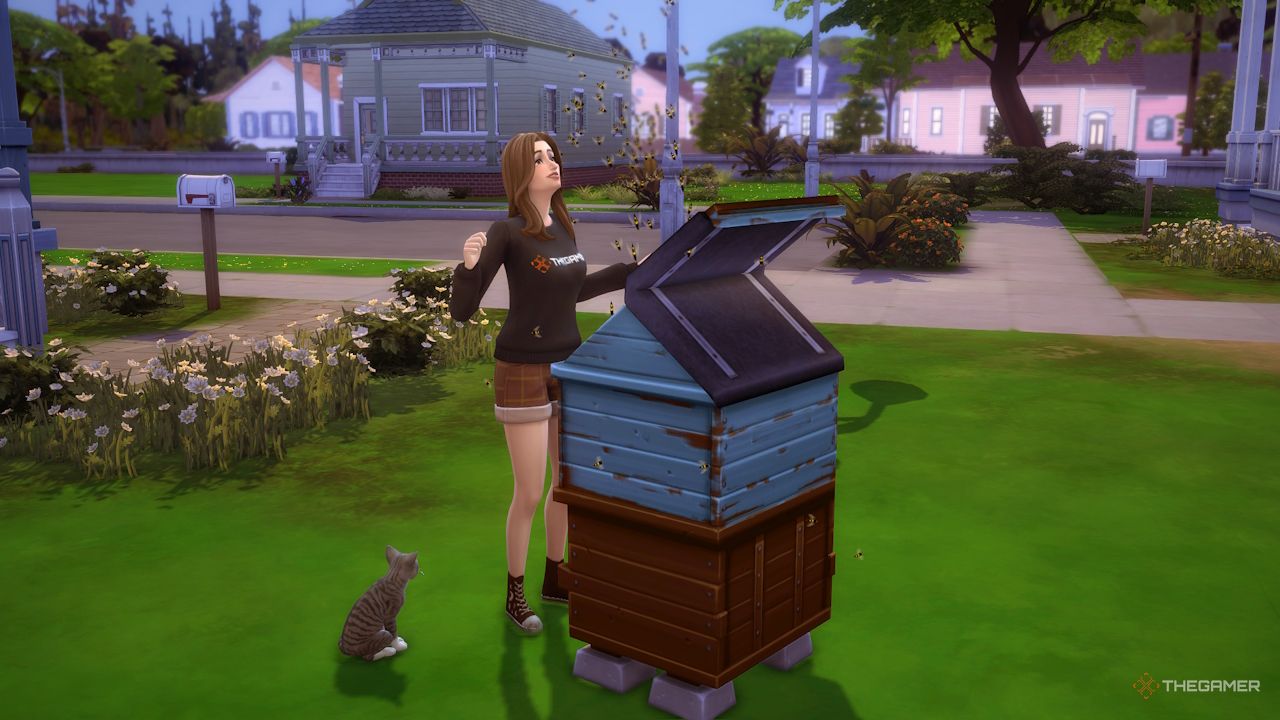 A Sim bonds with their bees outside.