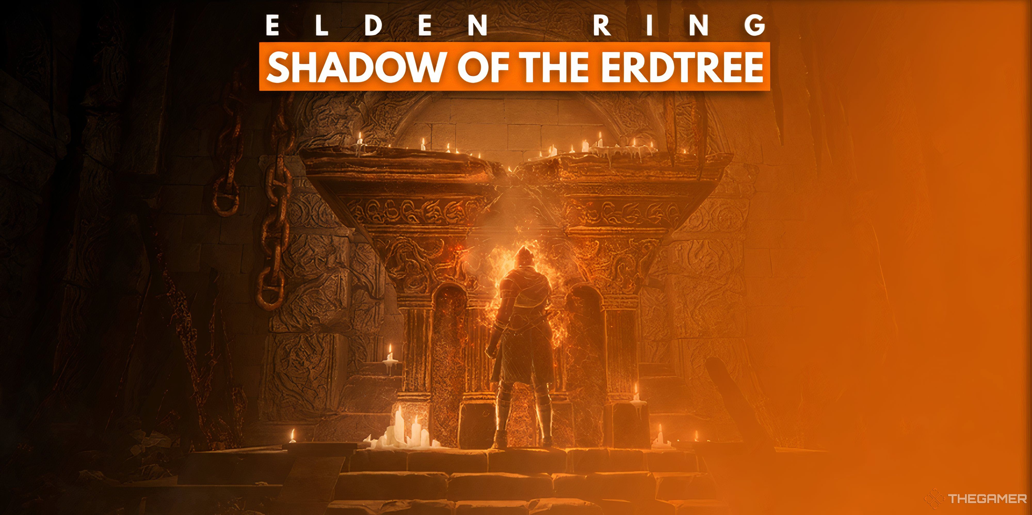 سرورهای Destiny 2 ظاهراً از کار افتاده اند، بازیکنان منتظر به روز رسانی نهایی شکل هستند 2 Elden Ring Shadow Of The Erdtree Key Art