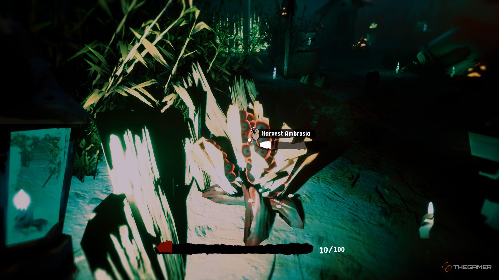 The player is harvesting Ambrosia in Harvest Hunt