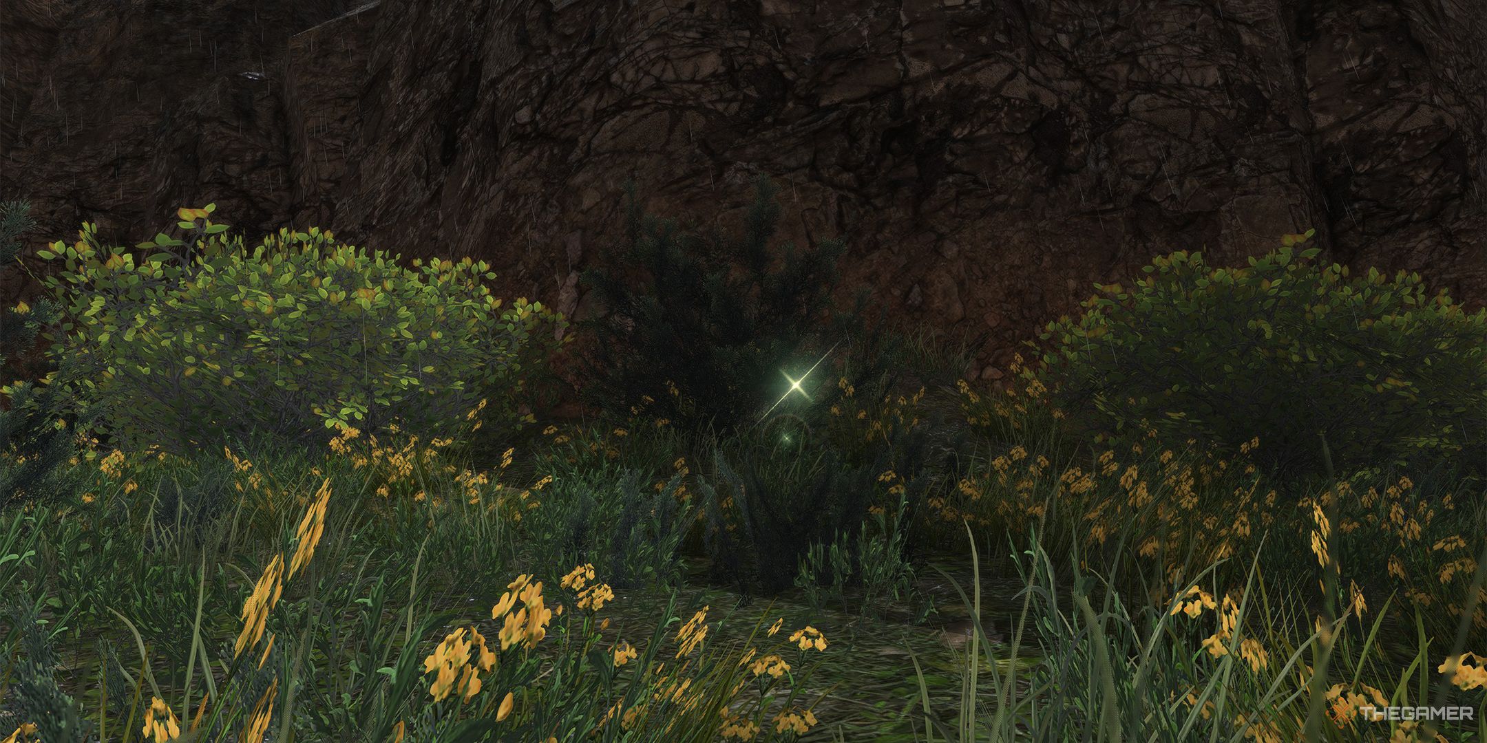 an unspoiled botanist node in living memory